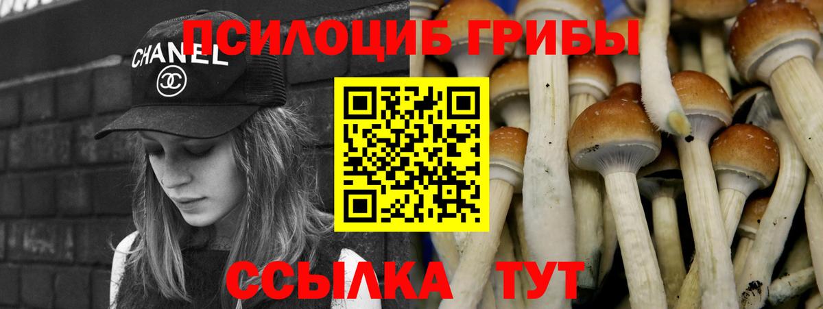 наркошоп  Вход с VPN  Астрахань  Галлюциногенные грибы мухоморы 